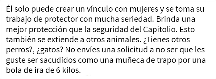 Esta campaña de adopción revela todos los defectos de este chihuahua endemoniado y se vuelve viral