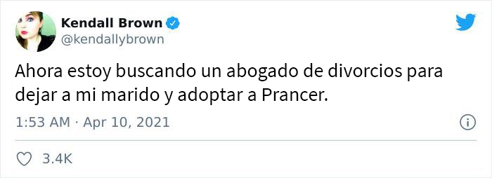 Esta campaña de adopción revela todos los defectos de este chihuahua endemoniado y se vuelve viral