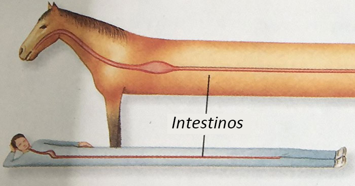 25 Extraños diagramas científicos totalmente reales, compartidos en esta página