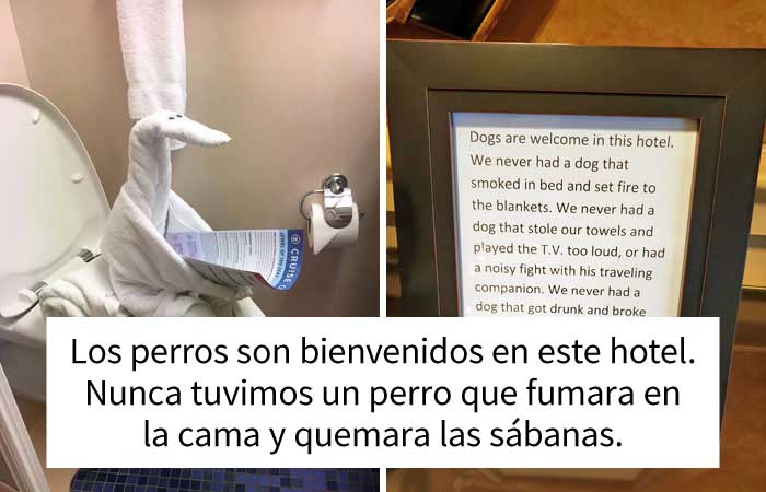 40 Hoteles que sorprendieron a todos con sus soluciones geniales (nuevas fotos)