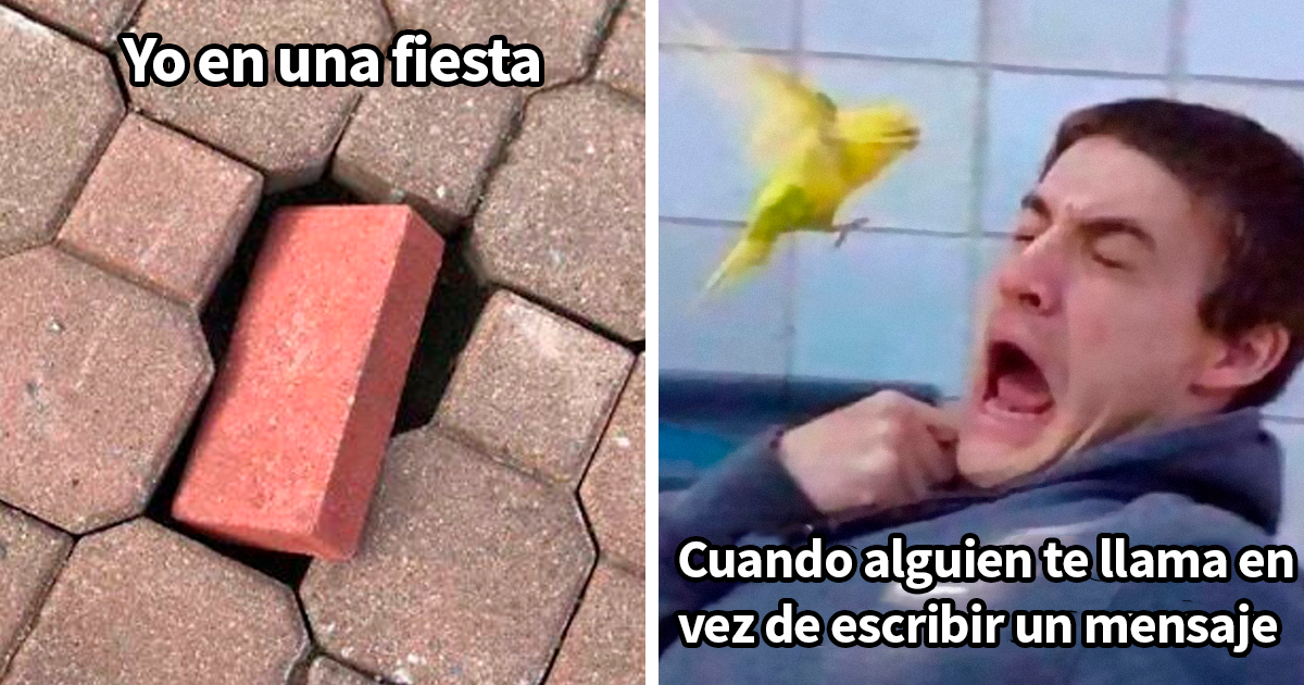 25 Divertidos memes que harán reír a todos los introvertidos (nuevas imágenes)