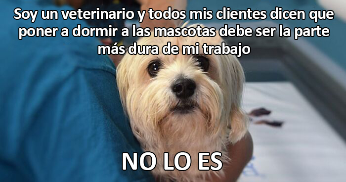 Este veterinario comparte las cosas más emocionalmente agotadoras en su trabajo, peor que sacrificar a los animales