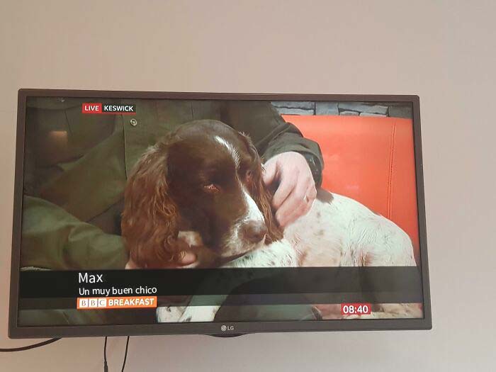 Es el contenido como este por el que veo BBC Breakfast