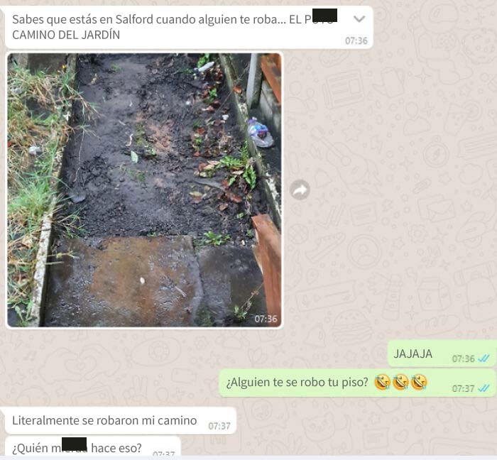 Esto es lo que mi amigo encontró al despertar esta mañana