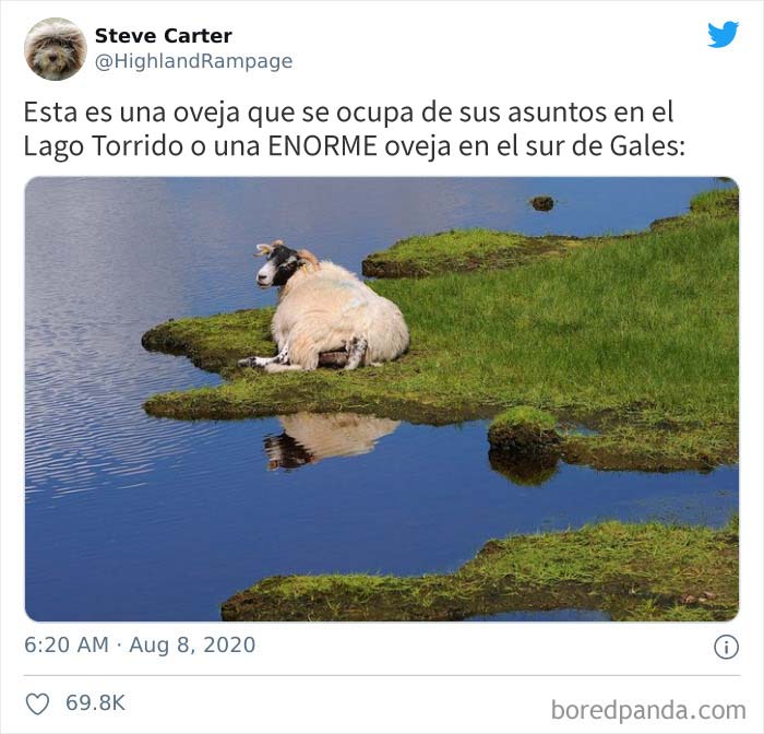 Las cosas se han ido un poco de las manos en Pembrokeshire