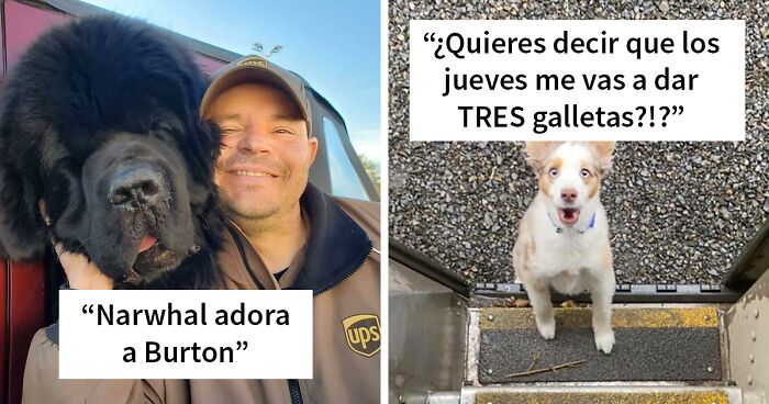 35 Conductores de UPS que se encontraron perros en sus rutas y compartieron las fotos en este grupo (Nuevas imágenes)