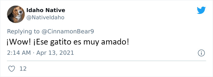 Este hombre transformó un espacio vacío tras la pared en un diminuto dormitorio para su gato, y otros dueños de gatos se mueren de envidia