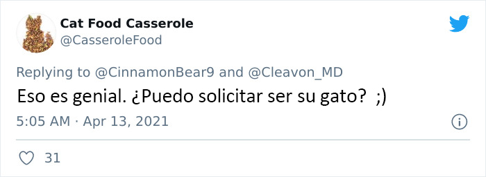 Este hombre transformó un espacio vacío tras la pared en un diminuto dormitorio para su gato, y otros dueños de gatos se mueren de envidia