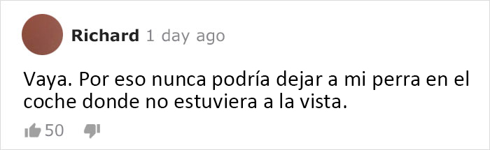 Esta reportera informaba sobre un cachorro robado cuando lo vio en la calle, siendo paseado por quien lo robó
