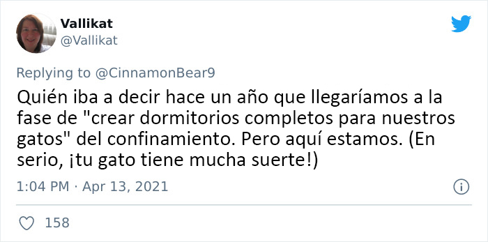 Este hombre transformó un espacio vacío tras la pared en un diminuto dormitorio para su gato, y otros dueños de gatos se mueren de envidia