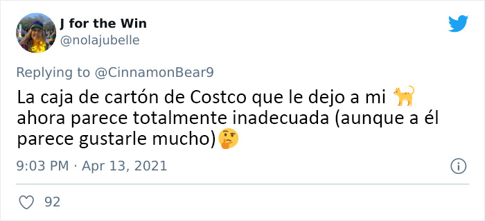 Este hombre transformó un espacio vacío tras la pared en un diminuto dormitorio para su gato, y otros dueños de gatos se mueren de envidia
