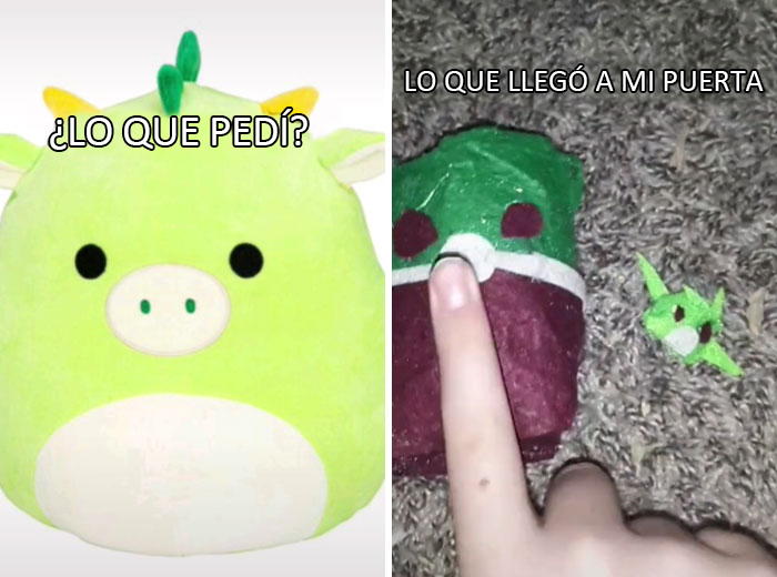 The 'What I Wanted Vs. What I Got' Trend Has People Sharing Funny Stories Of Frustration