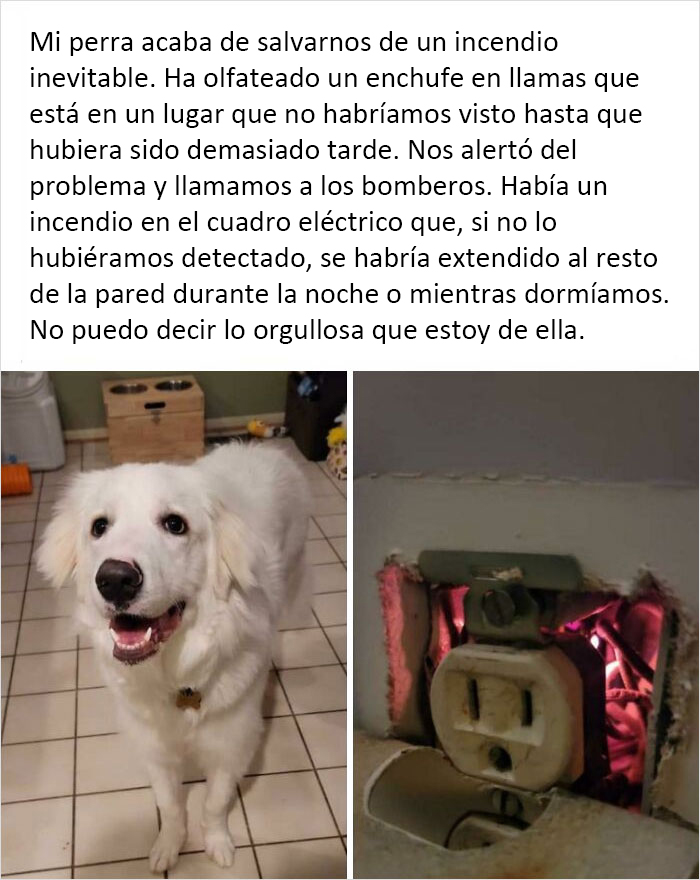 La más buena de las chicas