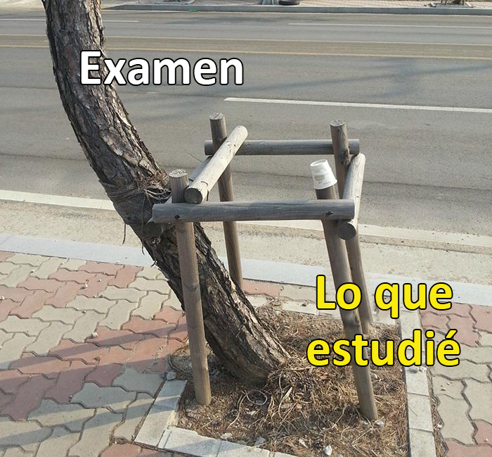 Vida universitaria