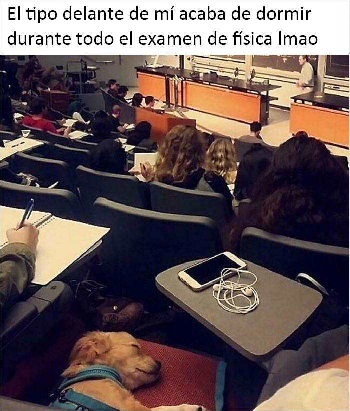 La Universidad es dura
