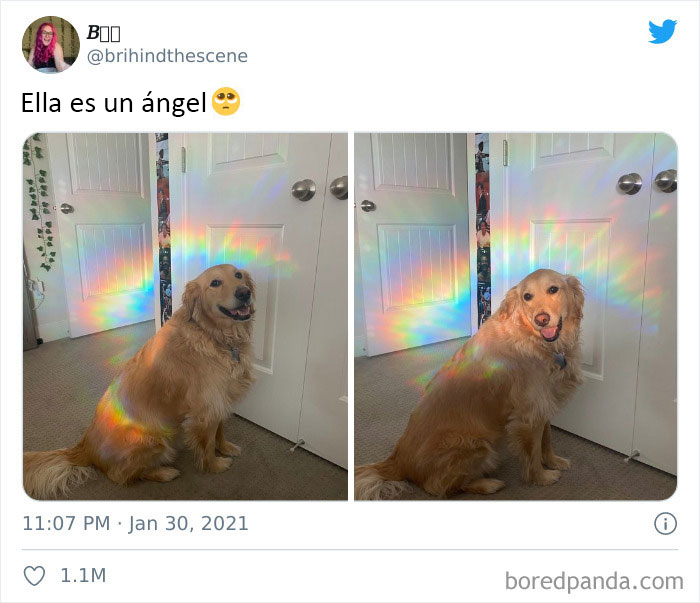 Es un ángel