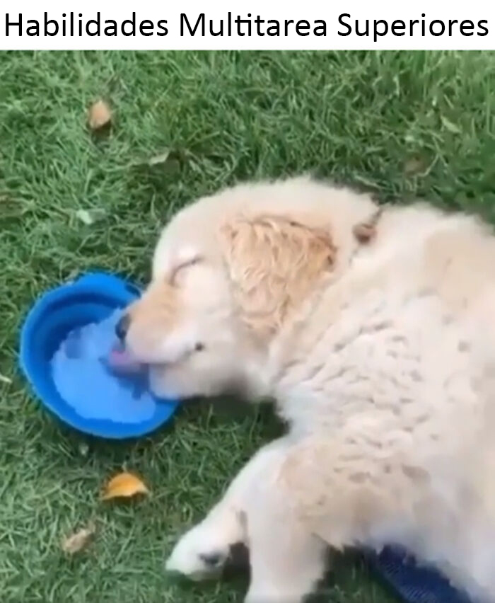 Beber.exe