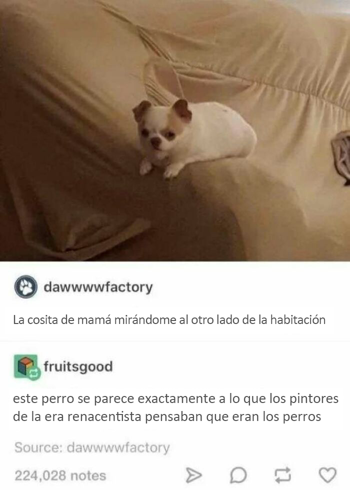 ¿Meterse con un perro vale?
