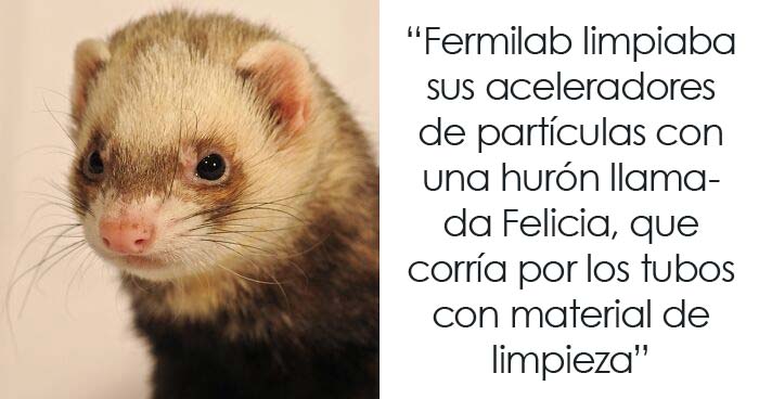 «Hoy aprendí»: 30 nuevos datos que demuestran que nunca es demasiado tarde para aprender algo nuevo