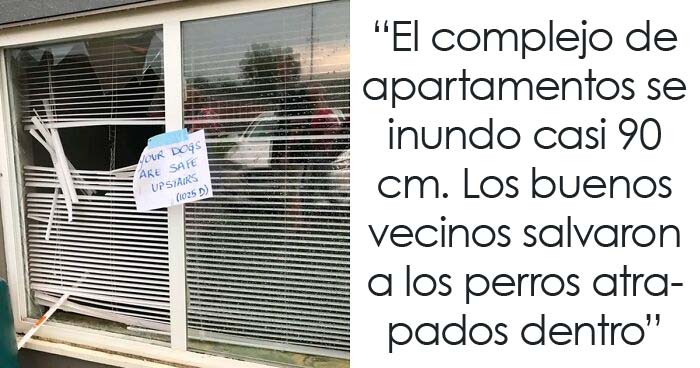 30 Vecinos que actuaron de forma tan positiva que devolvieron la fe en la humanidad a estas personas