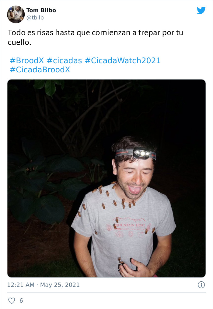 Billions Of Cicadas Emerge After 17 Years In The Ground And Create Chaos In Parts Of The US (30 Pics)