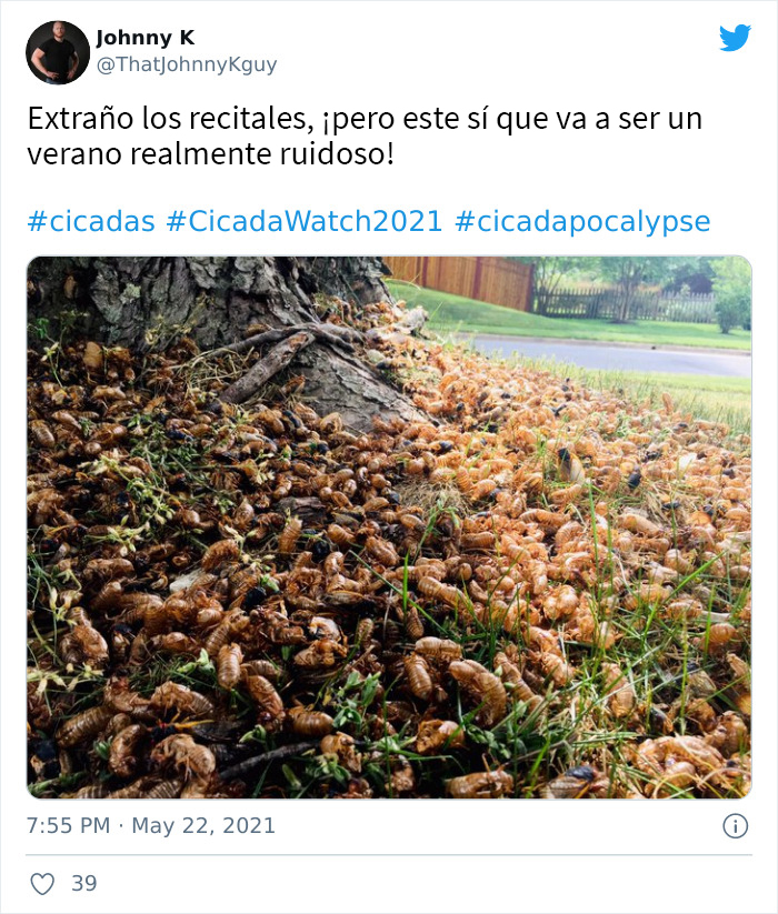 Billions Of Cicadas Emerge After 17 Years In The Ground And Create Chaos In Parts Of The US (30 Pics)
