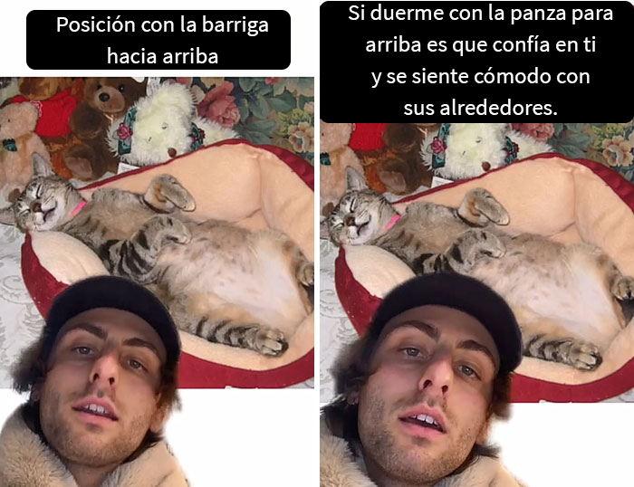 Este hombre promete brindar información nueva sobre los gatos y comparte 12 datos interesantes