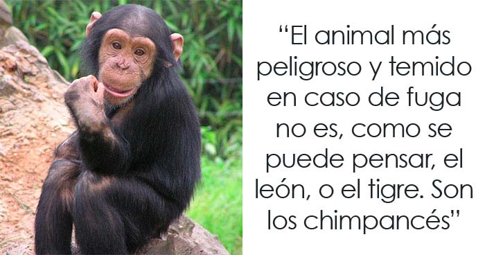Los cuidadores de los zoos revelan de forma anónima los secretos más oscuros que guardan tras las rejas (20 fotos)