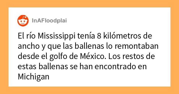 «Hoy aprendí»: 25 datos que demuestran que nunca es demasiado tarde para aprender (nuevas fotos)