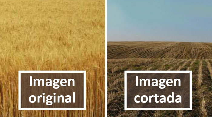 20 «Memes literales» que van directos al grano pero siguen siendo divertidísimos