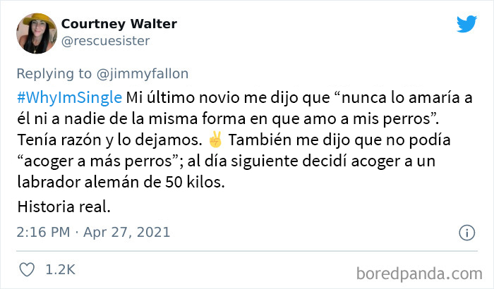 Jimmy Fallon Asks People Why They Are Single, And Here Are 30 Of The Most Spot-On Replies