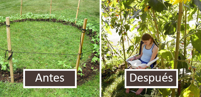 50 Personas con un toque para las plantas comparten ideas geniales de jardinería