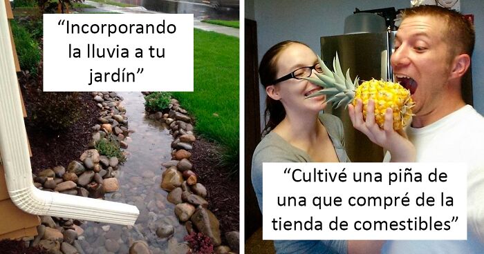 50 Personas con un toque para las plantas comparten ideas geniales de jardinería