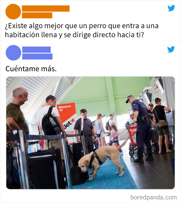 Perro maldito