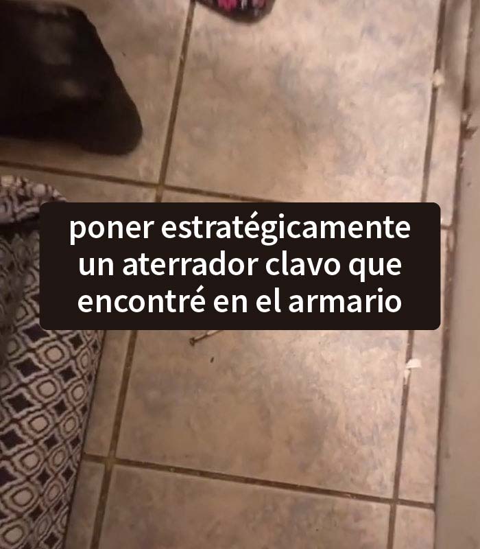 Este casero quiere subir el alquiler y la inquilina "sabotea" las visitas a su piso exponiendo todos los problemas que tiene