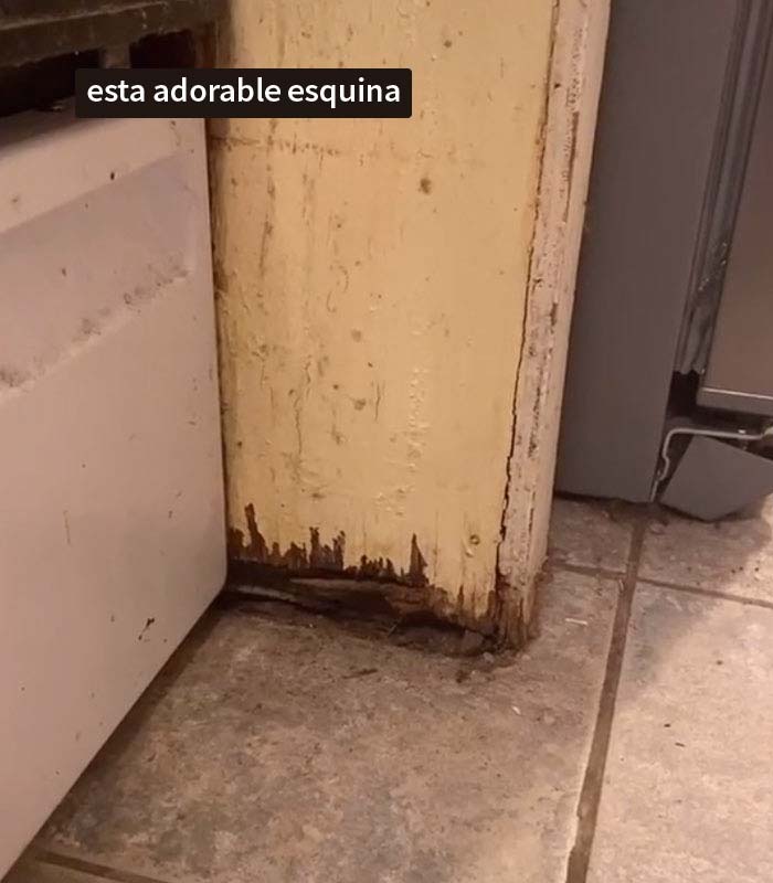 Este casero quiere subir el alquiler y la inquilina "sabotea" las visitas a su piso exponiendo todos los problemas que tiene