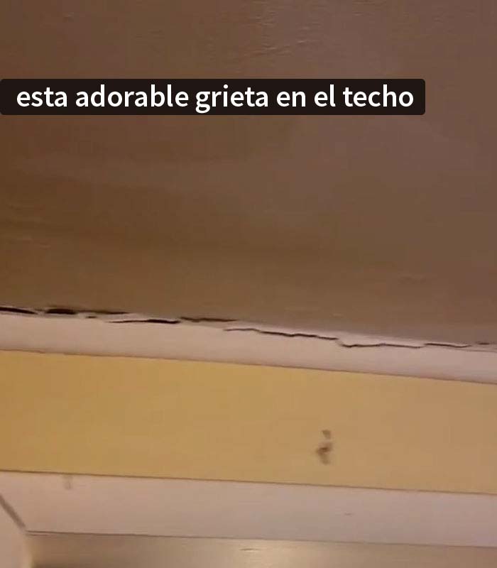 Este casero quiere subir el alquiler y la inquilina "sabotea" las visitas a su piso exponiendo todos los problemas que tiene