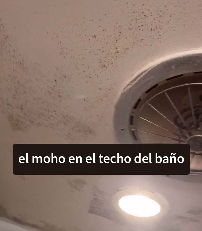 Este casero quiere subir el alquiler y la inquilina "sabotea" las visitas a su piso exponiendo todos los problemas que tiene