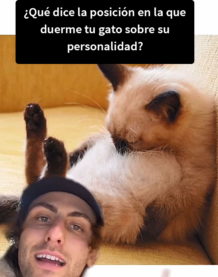Este hombre promete brindar información nueva sobre los gatos y comparte 12 datos interesantes