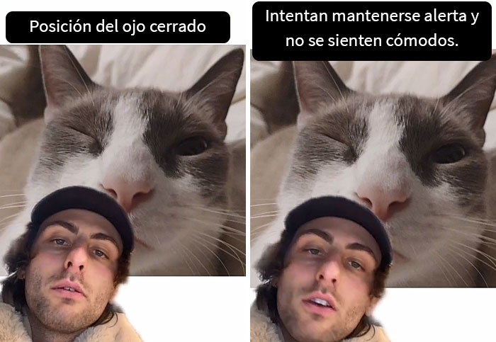 Este hombre promete brindar información nueva sobre los gatos y comparte 12 datos interesantes