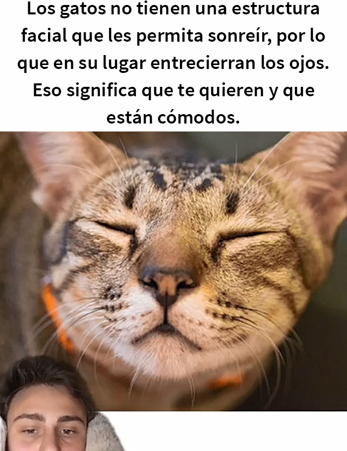 Este hombre promete brindar información nueva sobre los gatos y comparte 12 datos interesantes