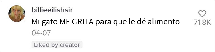 Este hombre promete brindar información nueva sobre los gatos y comparte 12 datos interesantes