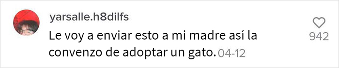 Este hombre promete brindar información nueva sobre los gatos y comparte 12 datos interesantes