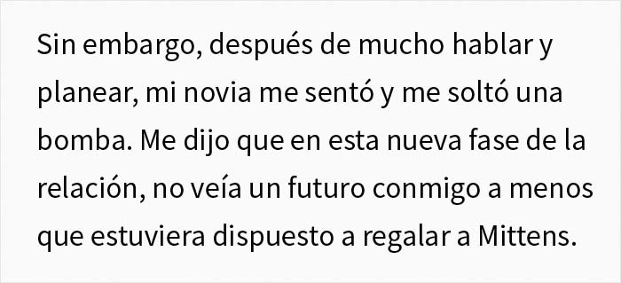 Esta chica vegana exigió a su novio que regale su gato, dándole un ultimátum