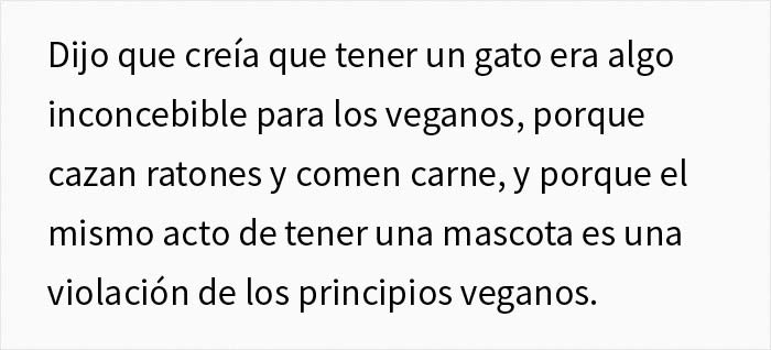 Esta chica vegana exigió a su novio que regale su gato, dándole un ultimátum