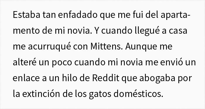 Esta chica vegana exigió a su novio que regale su gato, dándole un ultimátum