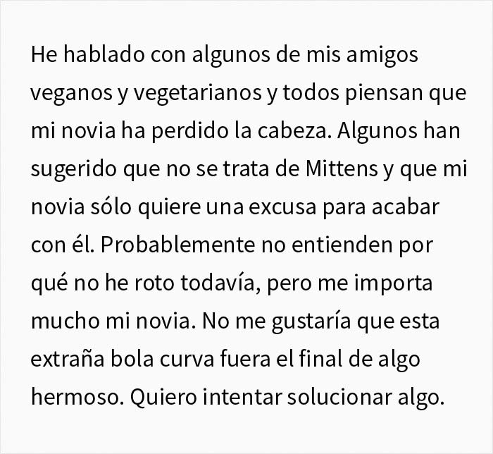 Esta chica vegana exigió a su novio que regale su gato, dándole un ultimátum
