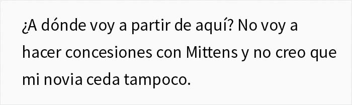 Esta chica vegana exigió a su novio que regale su gato, dándole un ultimátum
