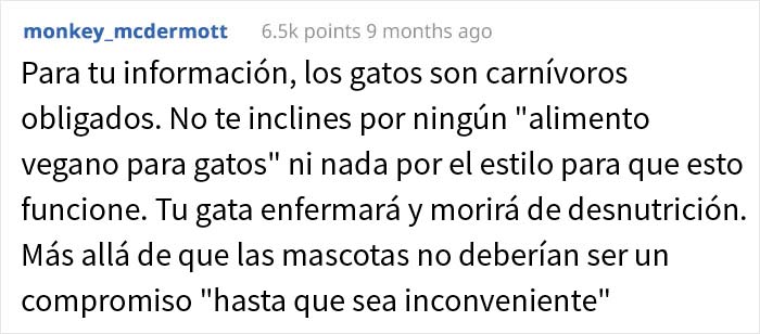 Esta chica vegana exigió a su novio que regale su gato, dándole un ultimátum