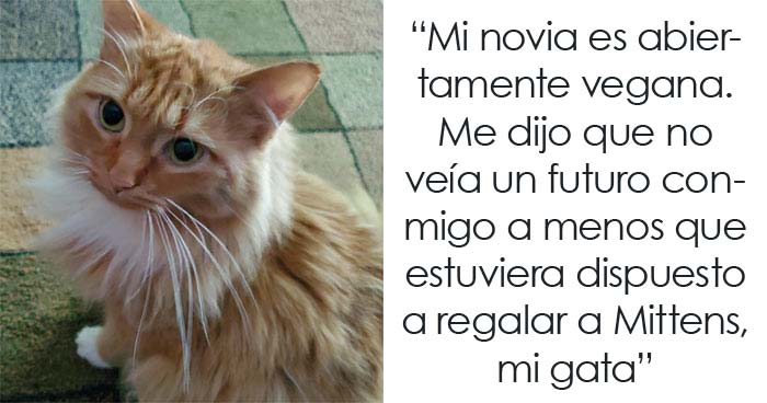 Esta chica vegana exigió a su novio que regale su gato, dándole un ultimátum